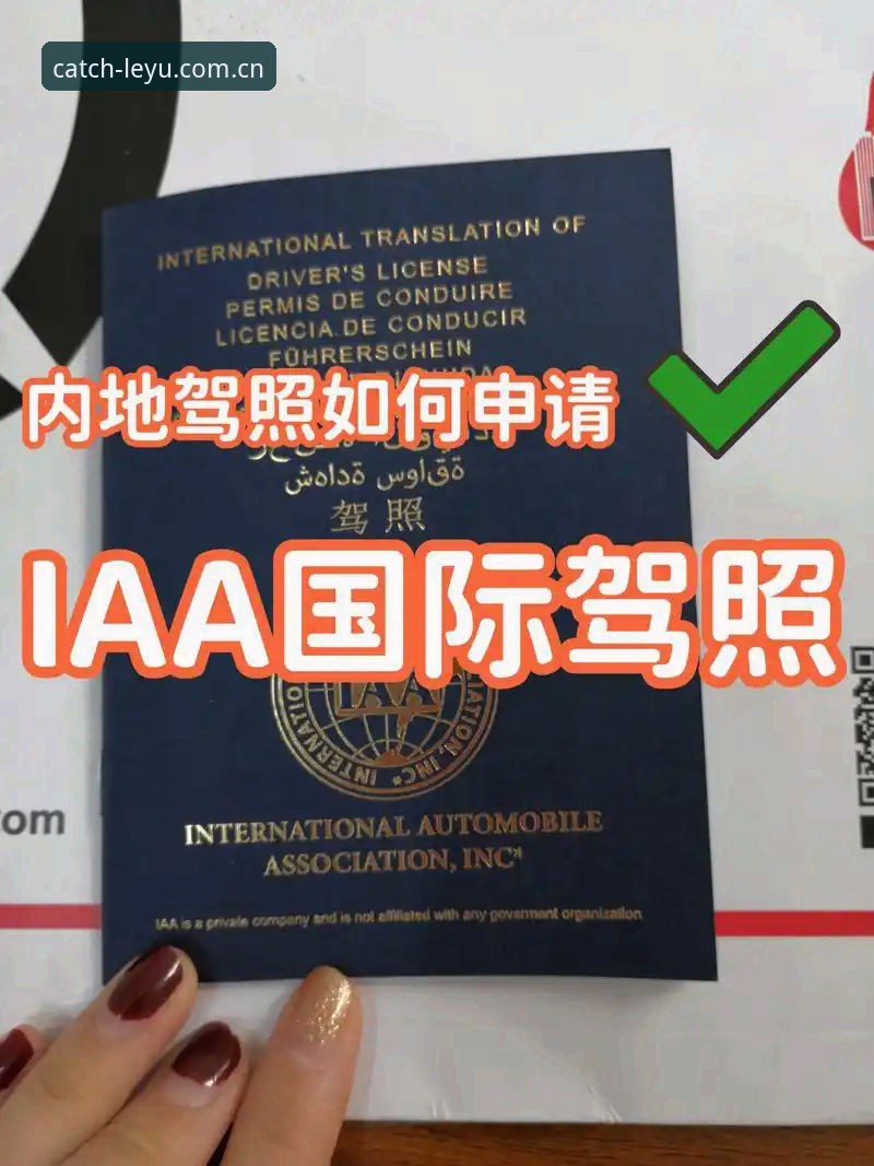 乐鱼app使用教程功能详解 阿斯顿维拉欧联杯夺冠操作教程:从战术解析到乐鱼app观赛全流程指南